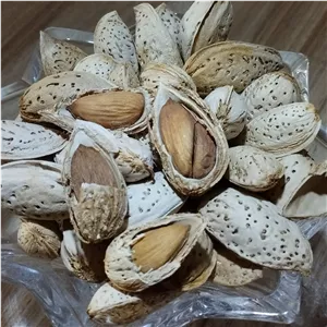 بادام کاغذی وزن خالص نیم کیلو گرم بدون تلخی