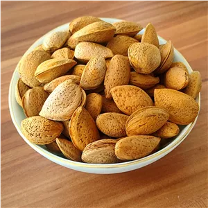 بادام سنگی درختی 5 کیلوگرمی، محصول امسال، تازه و ترد و شیرین