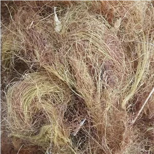 کاکل ذرت - 500 گرم