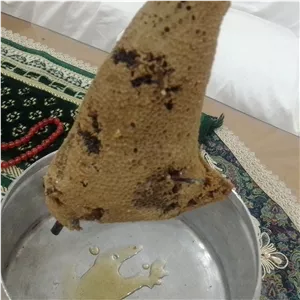 کندو عسل درختی طبیعی 