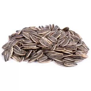 تخمه آفتابگردان دورسفید درشت تازه امسالی یک کیلویی