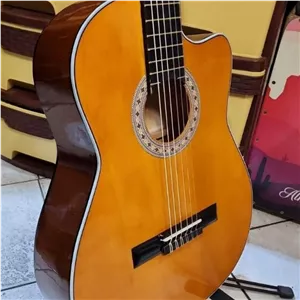 گیتار پارسی ms8 با ضمانت کتبی 2ساله و تخفیف ویژه