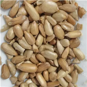 مغز تخمه بوداده بدون نمک و مواد افزودنی در وزن های نیم کیلویی