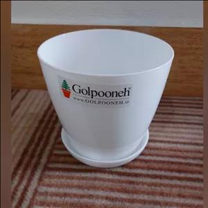 گلدان نارسیس گلپونه سفید با زیرگلدانی (هزینه ارسال به صورت پس کرایه توسط مشتری در مقصد)