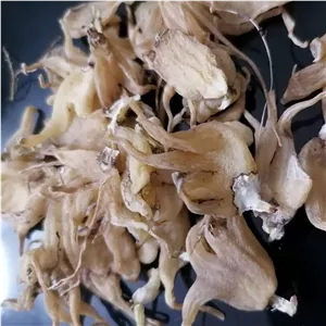 ثعلب قلوه ای پنجه ای مخلوط 20 گرمی 