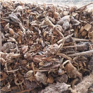 گیاه اسطوخودوس شامی معطر 100 گرمی 