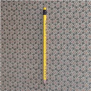 مداد مشکی سه گوش پاکن دار HB بدنه رنگی زرد با کیفیت سلیم صبیر