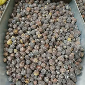 ابهل ( مای مرز، میوه سرو) 1 کیلو