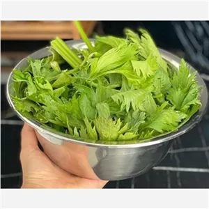 لگن استیل مارک یونیک سایز 36 