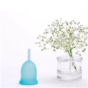 کاپ قاعدگی لیوا فارما مدل Plus سایز کوچک مجموعه 2 عددی ENG 