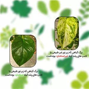 چراغ رشد گیاه  5 وات زد اف آر مدل فول اسپکتروم 26X