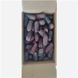 خرمای درج یک پیارم تازه برداشت شده 