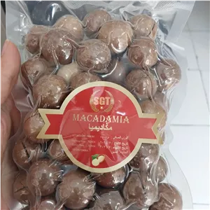 فندق ماکادمی نارگیلی