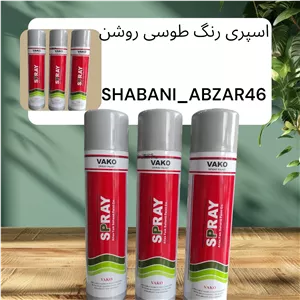 اسپری رنگ طوسی روشن واکو 