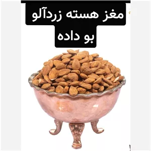 مغز هسته زردآلو بو داده (فوق ممتاز.خوش خوراک)150گرمی