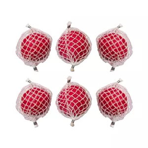 شوره گیر کولر آبی معجزه گر مدل Gh-546 بسته 6 عددی TRG