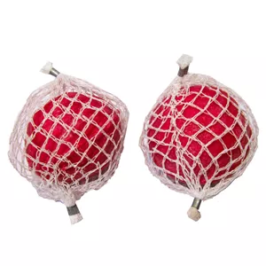 شوره گیر کولر معجزه گر طرح 1-بسته 2 عددی