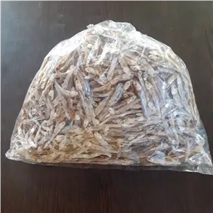 ماهی خشک شده (متوتا) عمده