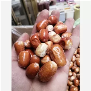 سنجد تازه و نرم و درشت امسالی
