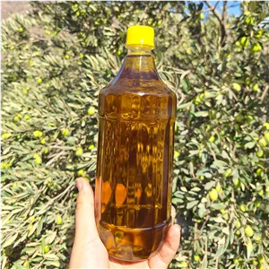 روغن زیتون بکر رودبار (900گرم خالص) محصول امساله