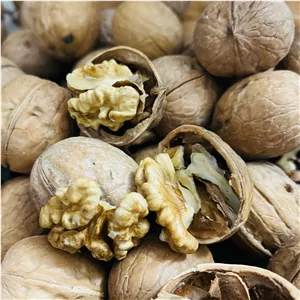 گردوی مغز سفید کاغذی تضمینی امسالی ( نیم کیلو)