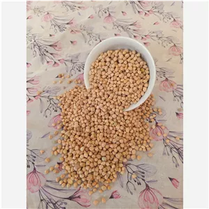 نخود ارگانیک