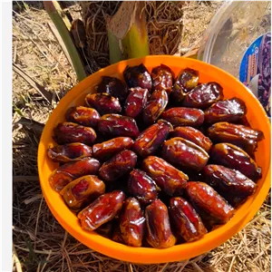 خرما استعمران 1 کیلویی درجه یک صادراتی