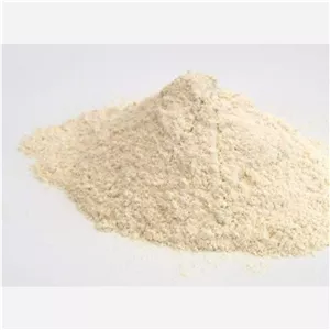 پودر پیاز یک کیلویی