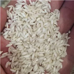 برنج عنبربو خوزستان بار امسال ارسال رایگال