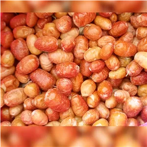 سنجد قزل محصول 1404 یک کیلوگرم ارسال رایگان