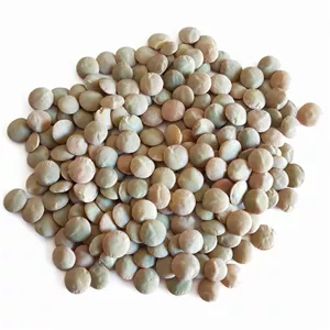 عدس درشت و زودپز خارجی (1 کیلویی )