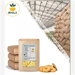 میوه آناناس خشک فله درشت و تازه اعلا با کیفیت عالی 1000 گرمی (درجه یک )