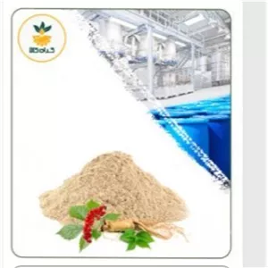 عصاره جینسینگ سفید خشک یا پودری صدردصد خالص 100گرم گرید A+  (درجه یک )