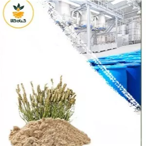 عصاره اسفرزه خشک یا پودری صدردصد خالص 100 گرم گرید A+  (درجه یک )