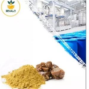 عصاره صمغ آنغوزه خشک یا پودری صدردصد خالص100 گرم گرید A+  (درجه یک )