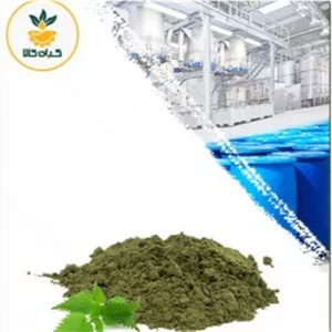 عصاره گزنه خشک (پودری)  صدردصد خالص 100 گرم گرید A+  (درجه یک )