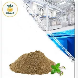 عصاره پونه خشک یا پودری  کیفیت خالص 100 گرم گرید A+  و منتخب