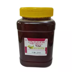 عسل بهاره طبیعی - 1 کیلوگرم
