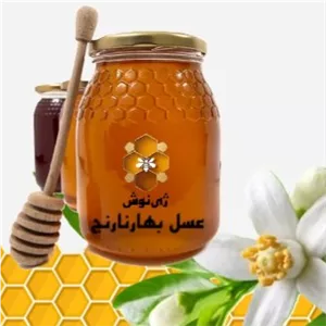 پک 3 عددی 250 گرمی عسل بهارنارنج، گون و آویشن طبیعی ژینوش - ارسال رایگان