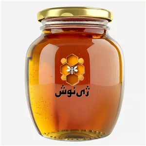 عسل گون گز طبیعی ژینوش - 3 کیلو - ارسال رایگان