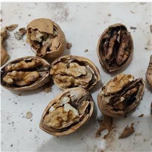 گردوی درجه 2 مراغه 500 گرمی