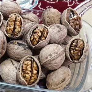 گردوی مغز قهوه ای پرچرب 500 گرم