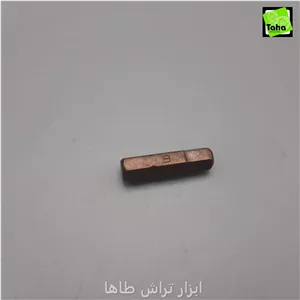 نوک پیچ گوشتی آلنی6-2.5 سانت
