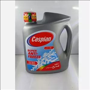 ضد یخ خودرو کاسپین مدل چهار فصل ( 4 کیلوگرم)