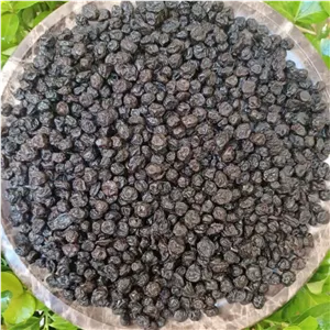 بلوبری خشک