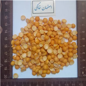 لپه خارجی(تضمینی)