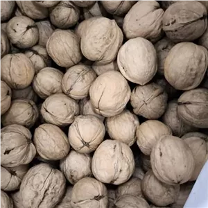 گردو با پوست رابر اعلا 1 کیلوگرمی