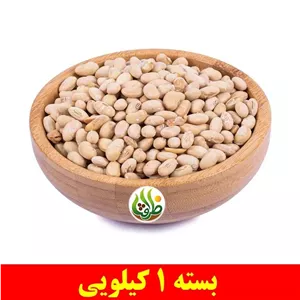 سویا آجیلی بوداده ممتاز ظرافت 1 کیلویی