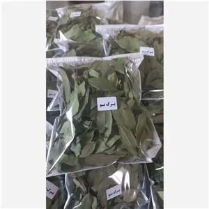 برگ بو خشک (برگ غار) معطر برای آشپزی