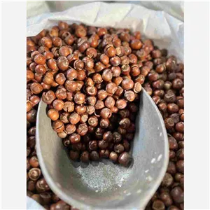 فندق خام ترک خورد درشت (250گرمی)